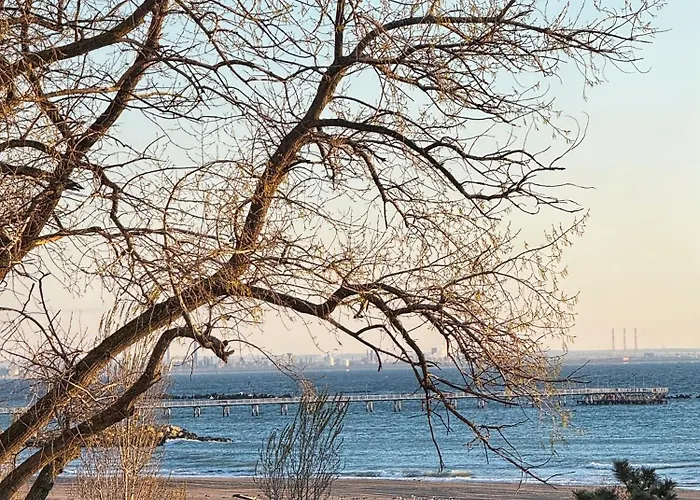 Crisomare Aquamagic Mamaia